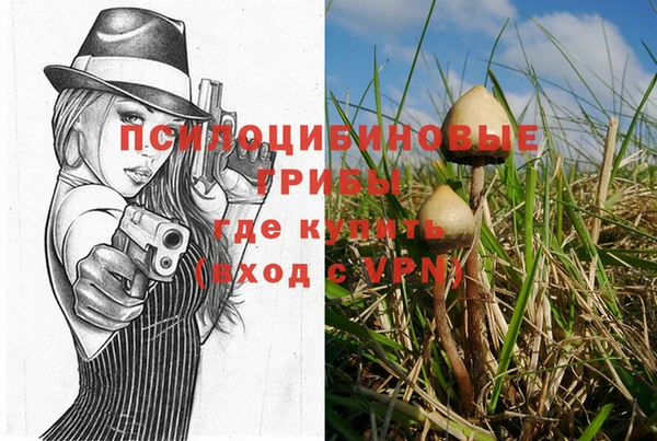 прущая мука Бородино