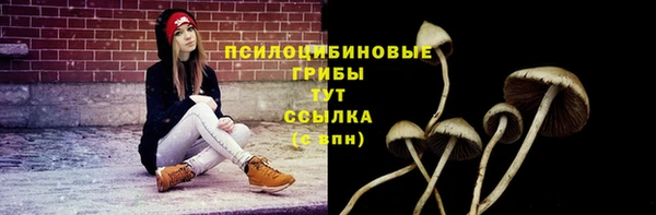 кристаллы Богданович