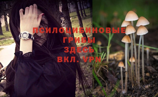 прущая мука Бородино