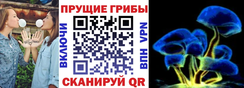 Галлюциногенные грибы мицелий где купить Верхний Тагил